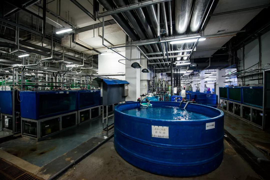 蠕動泵用(yòng)于克服三(san)種廢水問(wèn)題